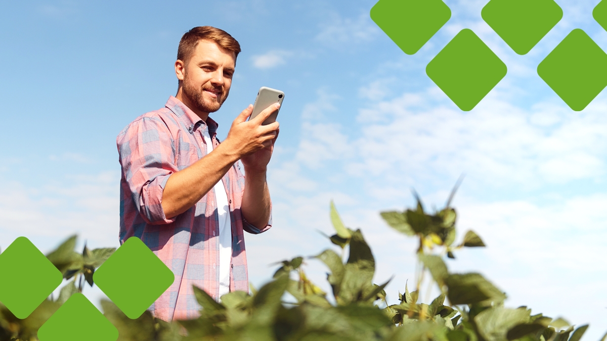 Segmentação de clientes no agronegócio: como fazer?