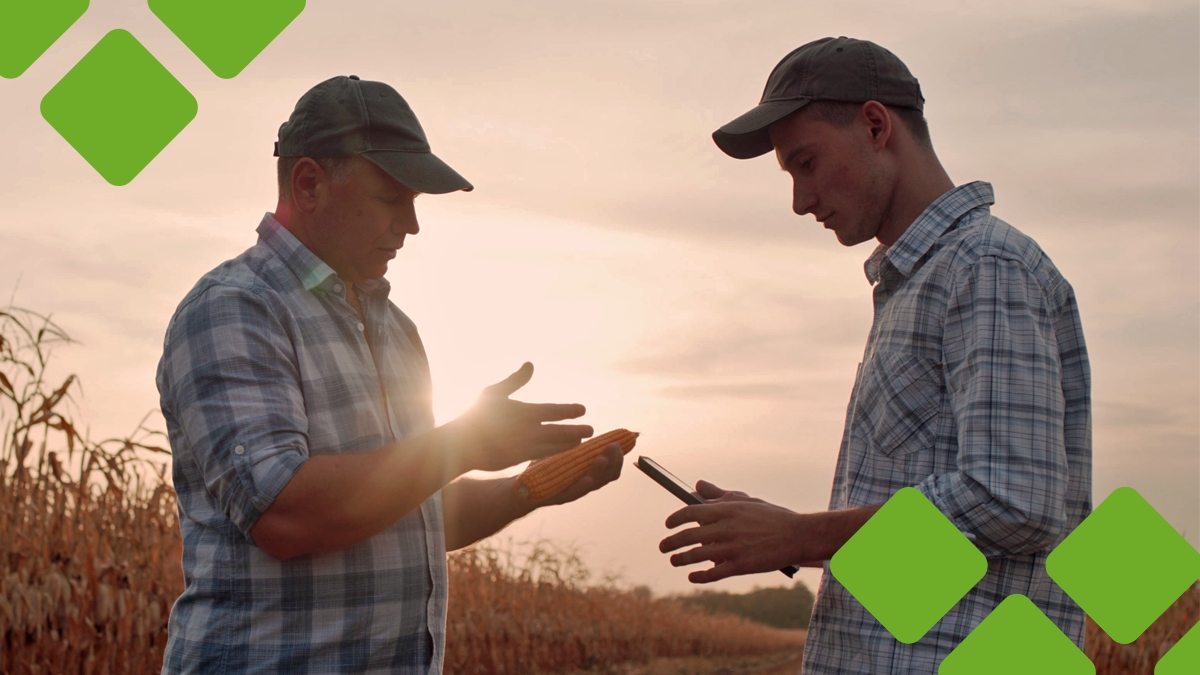 O que faz uma consultoria agronômica?