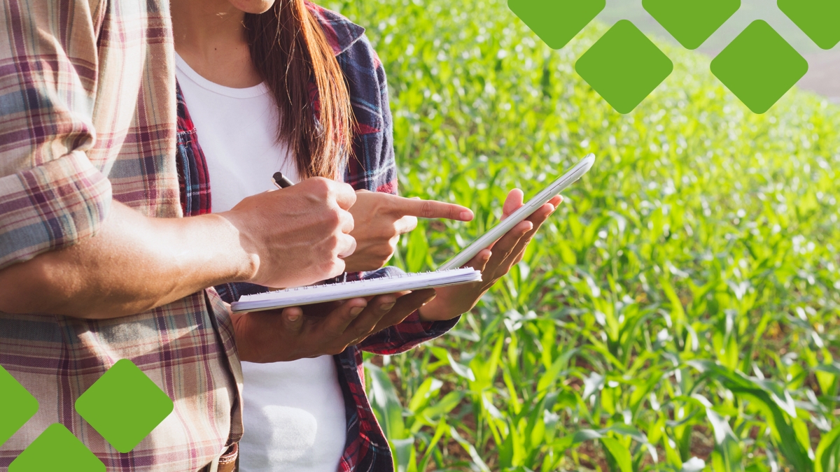 Como otimizar o agendamento de visitas técnicas no campo