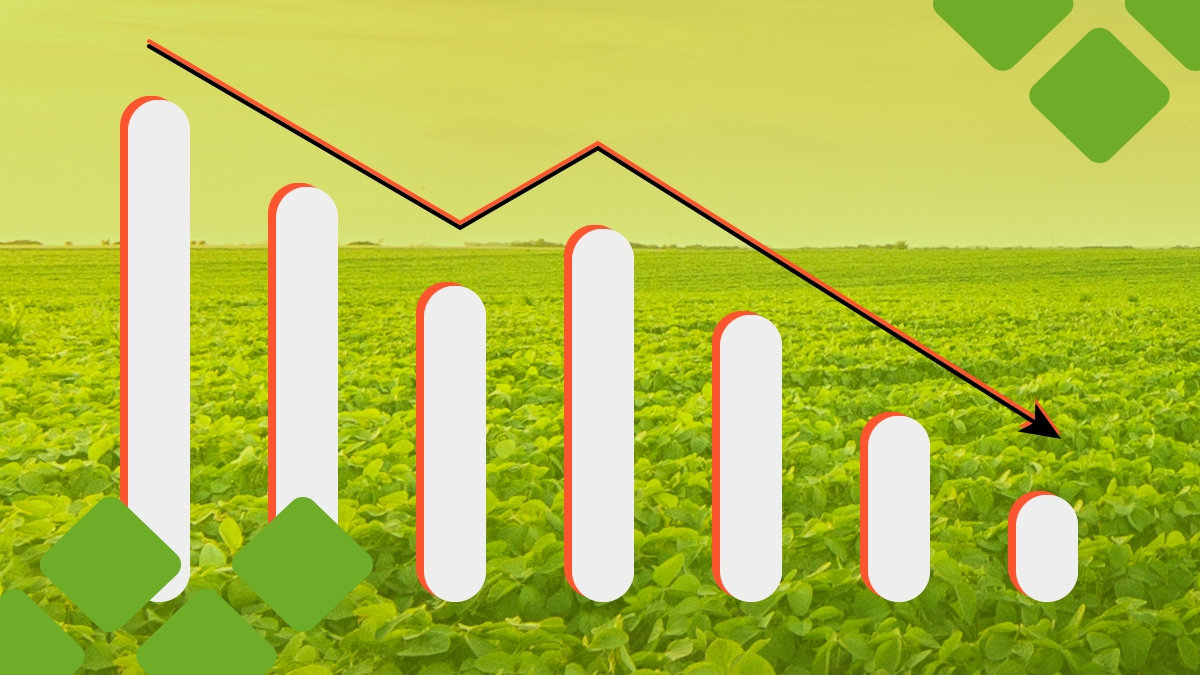 O que é churn e como reduzir a taxa da sua empresa agrícola