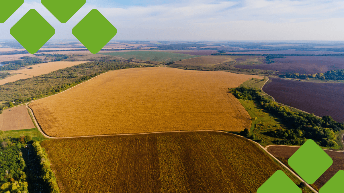 Plano Safra: o que é e como ele beneficia o produtor rural