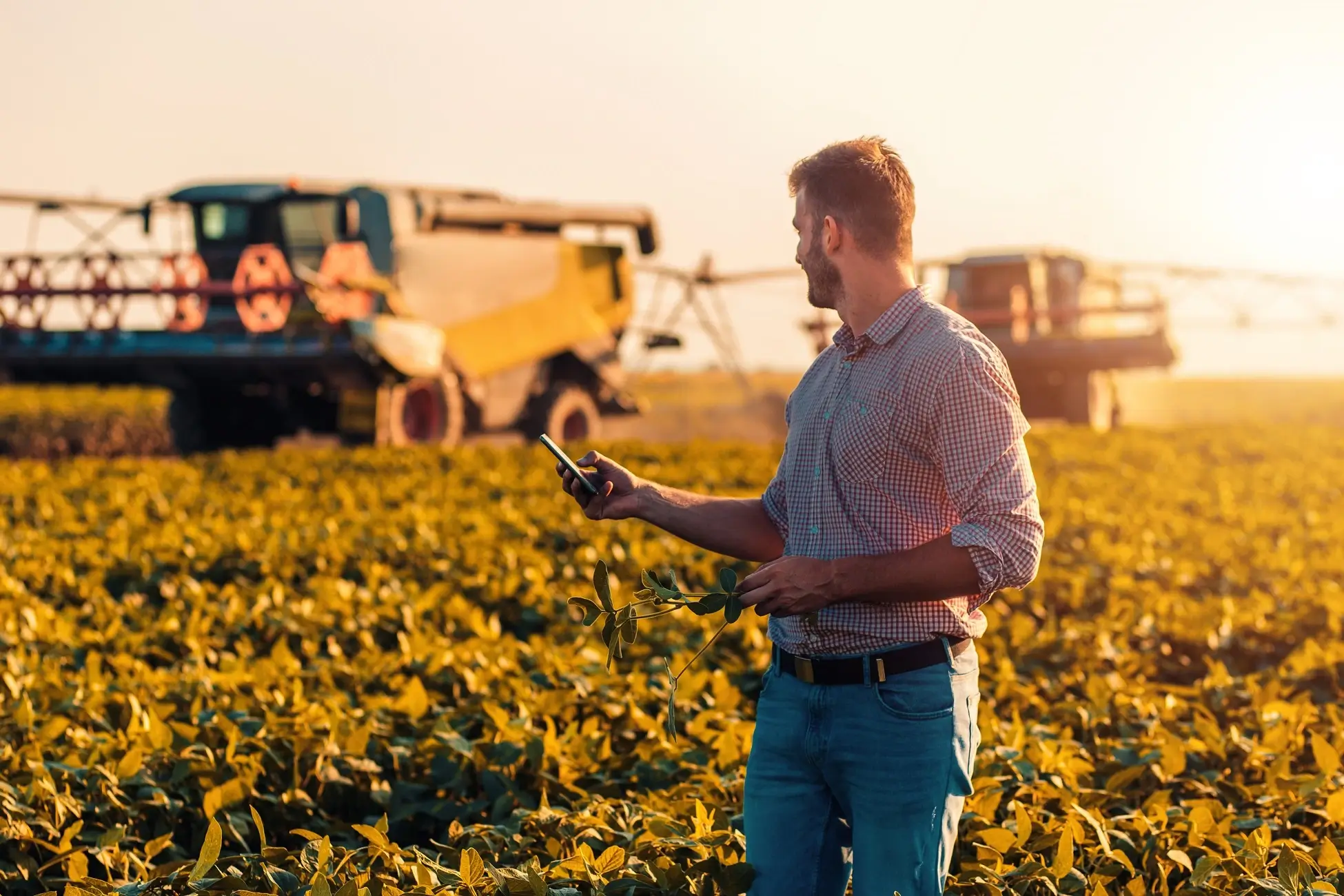 Como alinhar marketing e vendas em empresas do agronegócio